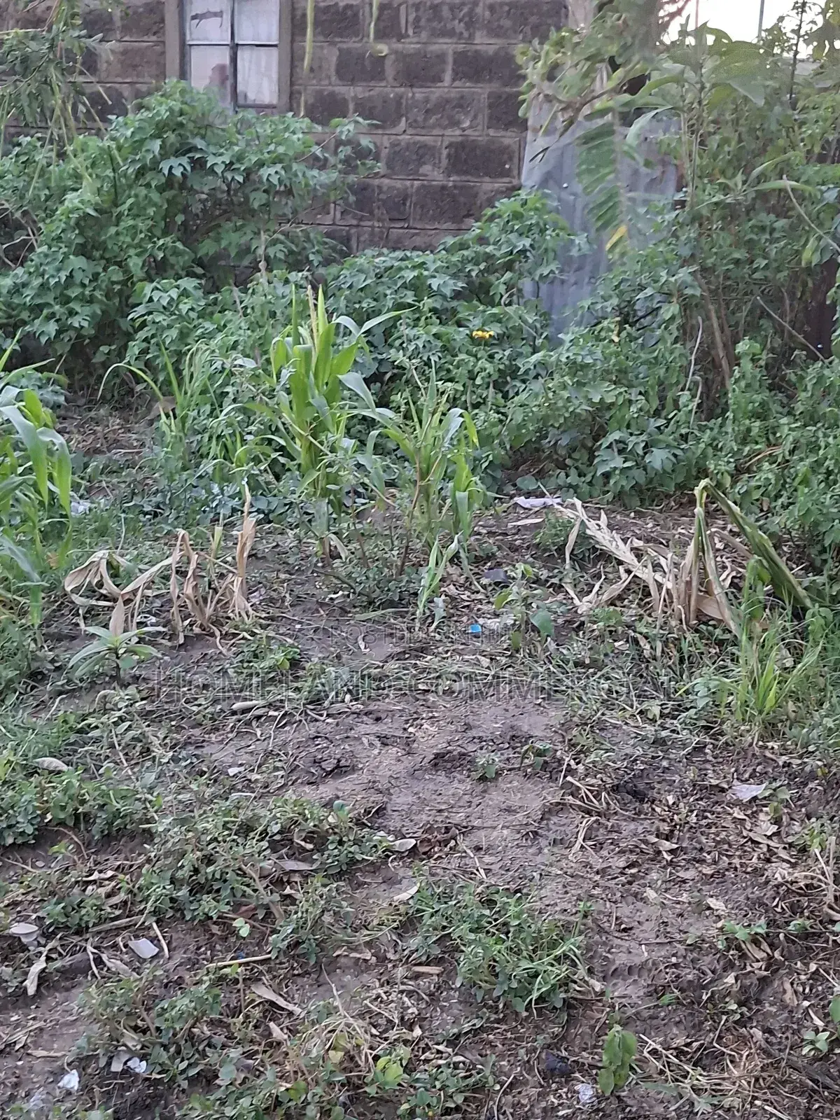 Land for Sale in Dagoretti