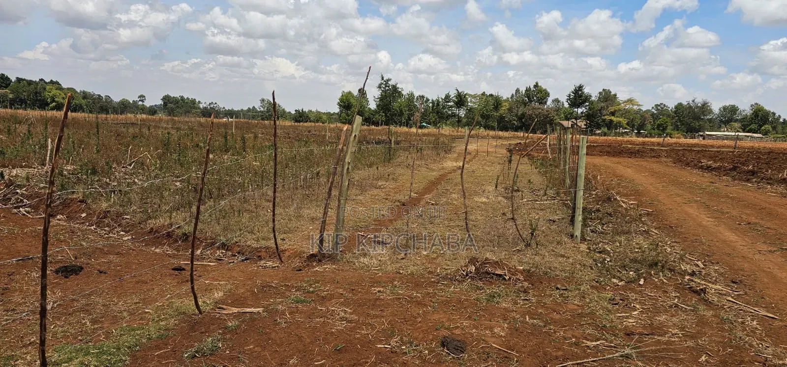 Freshly Subdivided Plots for Sale Illula Eldoret Limo in Hillside