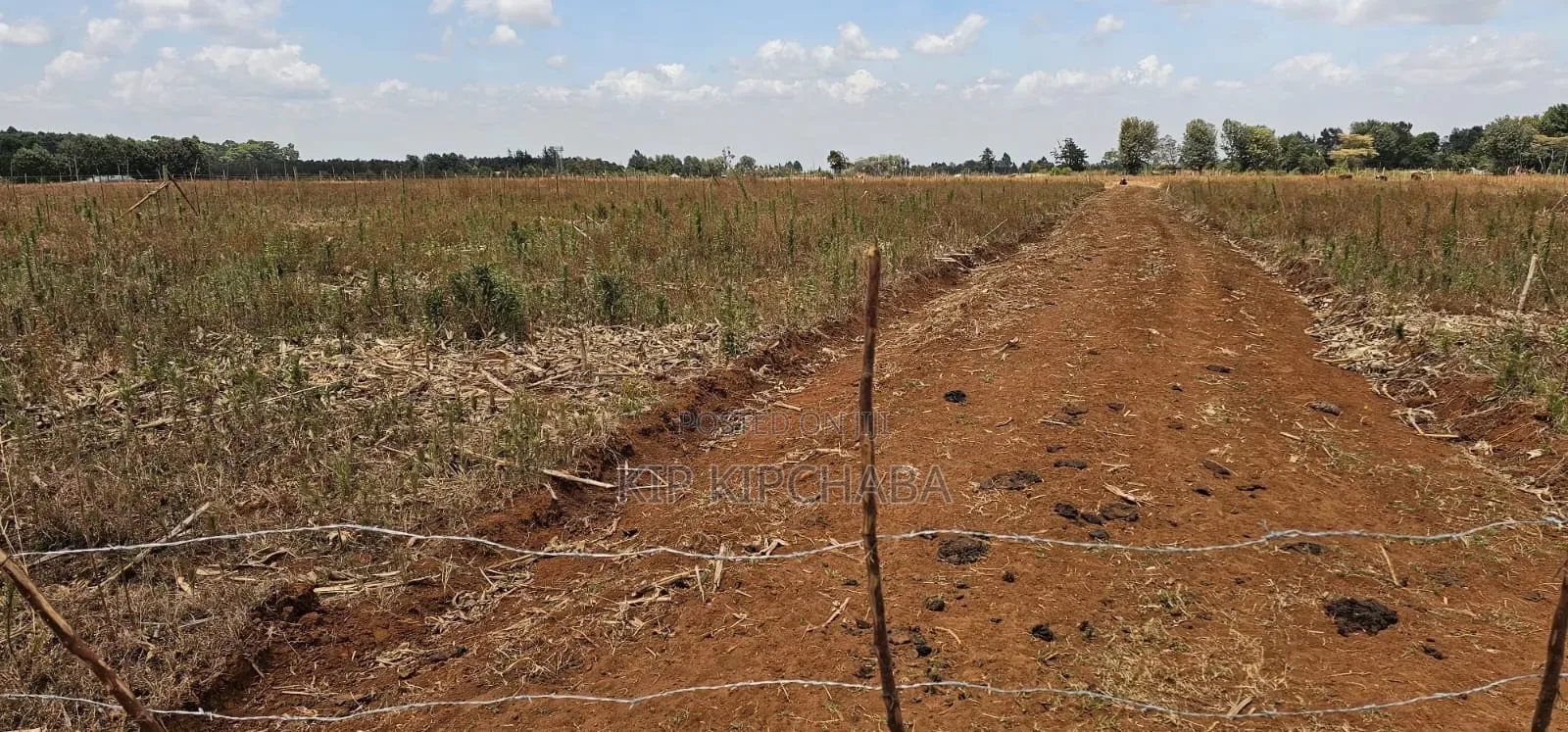 Freshly Subdivided Plots for Sale Illula Eldoret Limo in Hillside