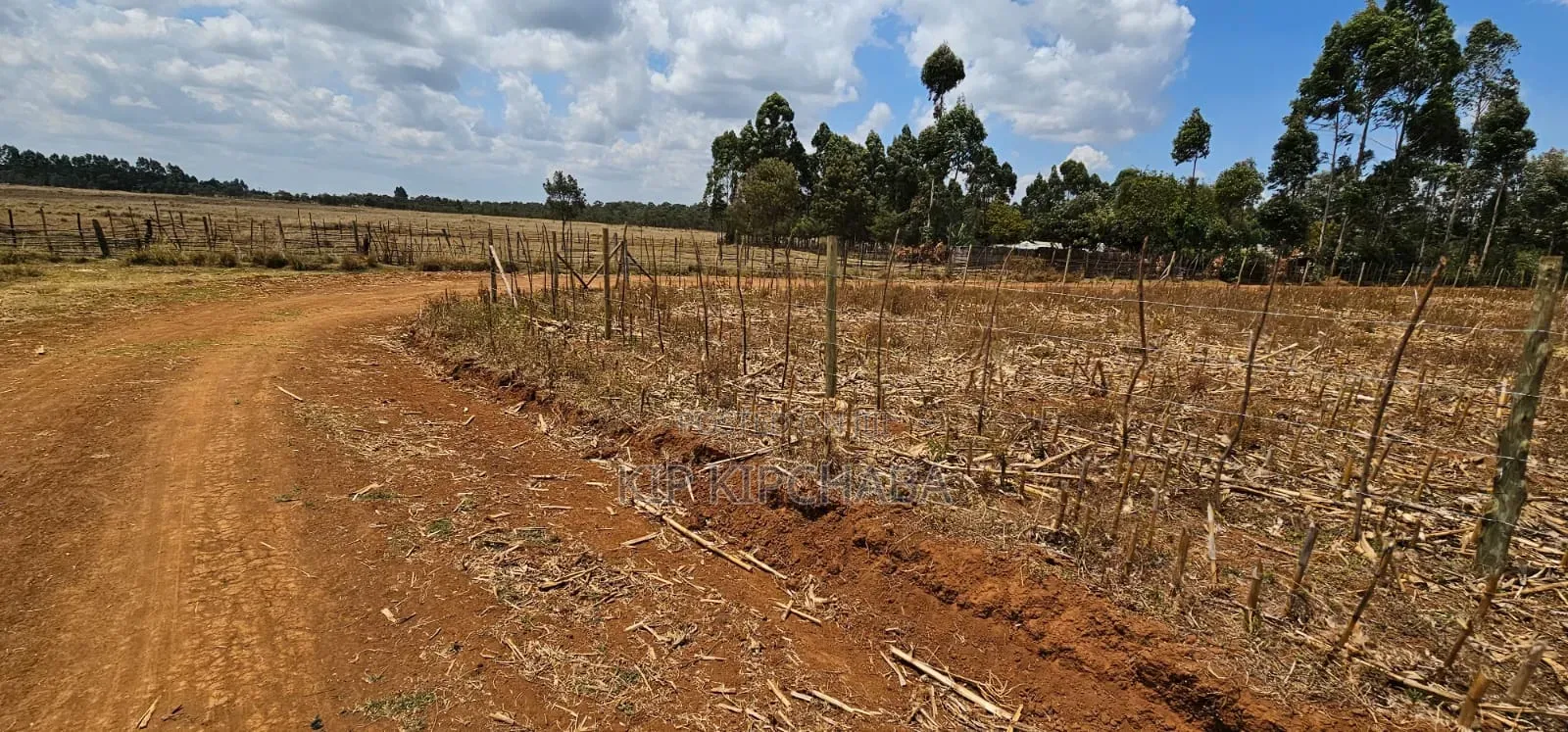 Freshly Subdivided Plots for Sale Illula Eldoret Limo in Hillside