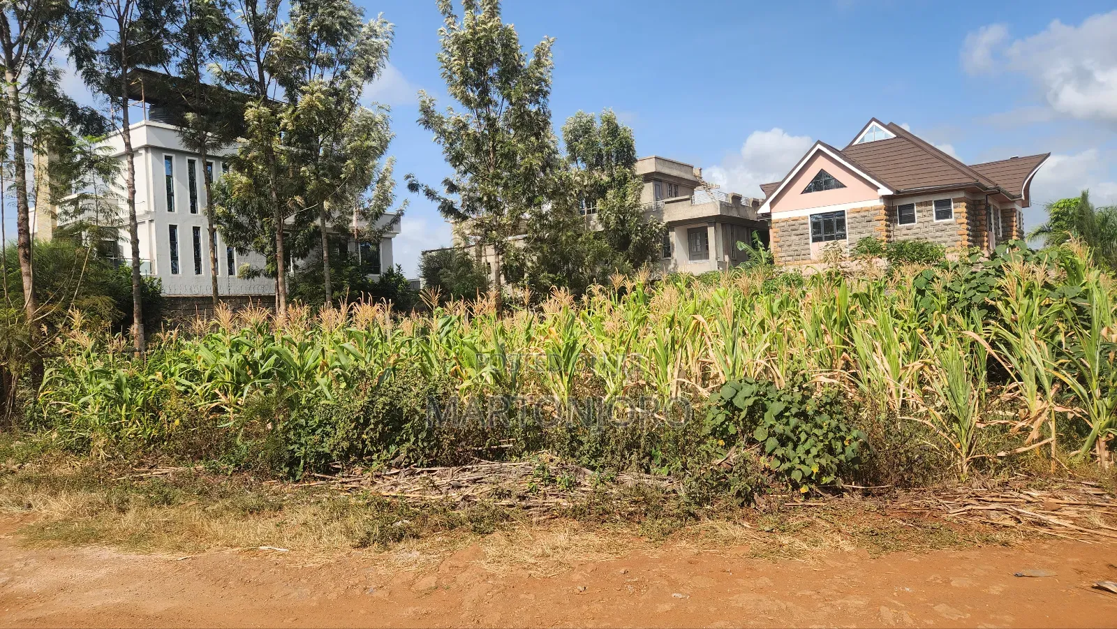 Croton Ridge [ Kenyatta Road] 1/8 Acre in Kenyatta Road / Theta 