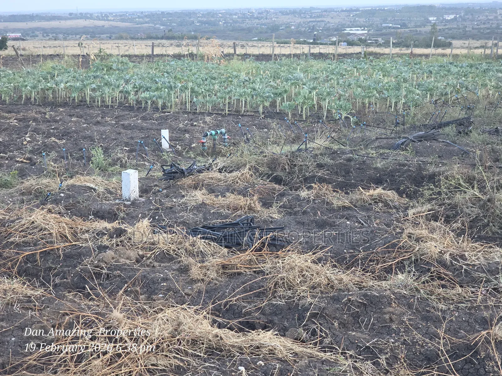 50 by 100 Plot in Kitengela Oloika for Sale Ideal for Residential in Kitengela