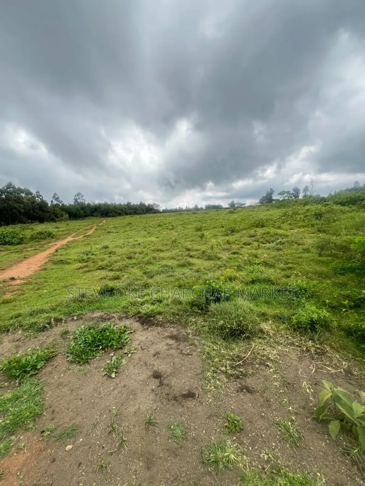 Ready Clean Tittle Deed, Land for Sale in Kisumu Nyanza Region in Kisumu Central