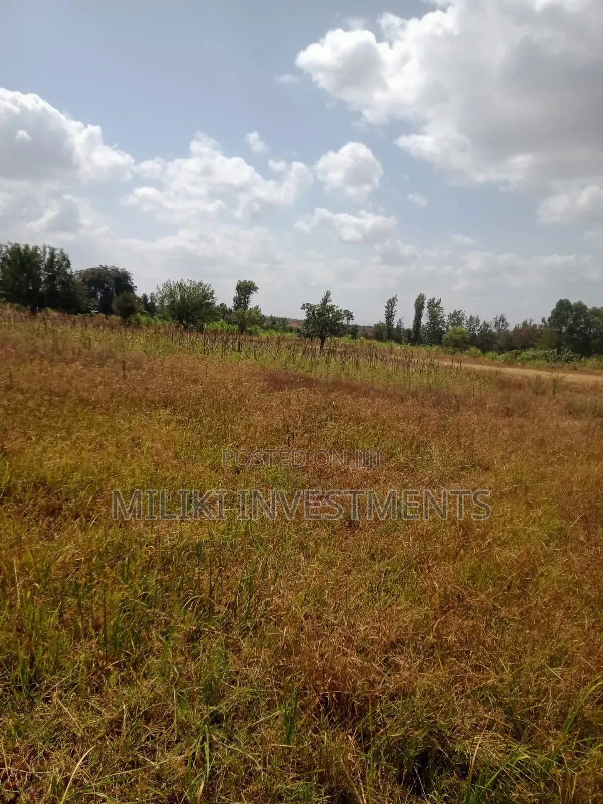 14 Acres of Land on Sale at Kirinyaga in Mutithi