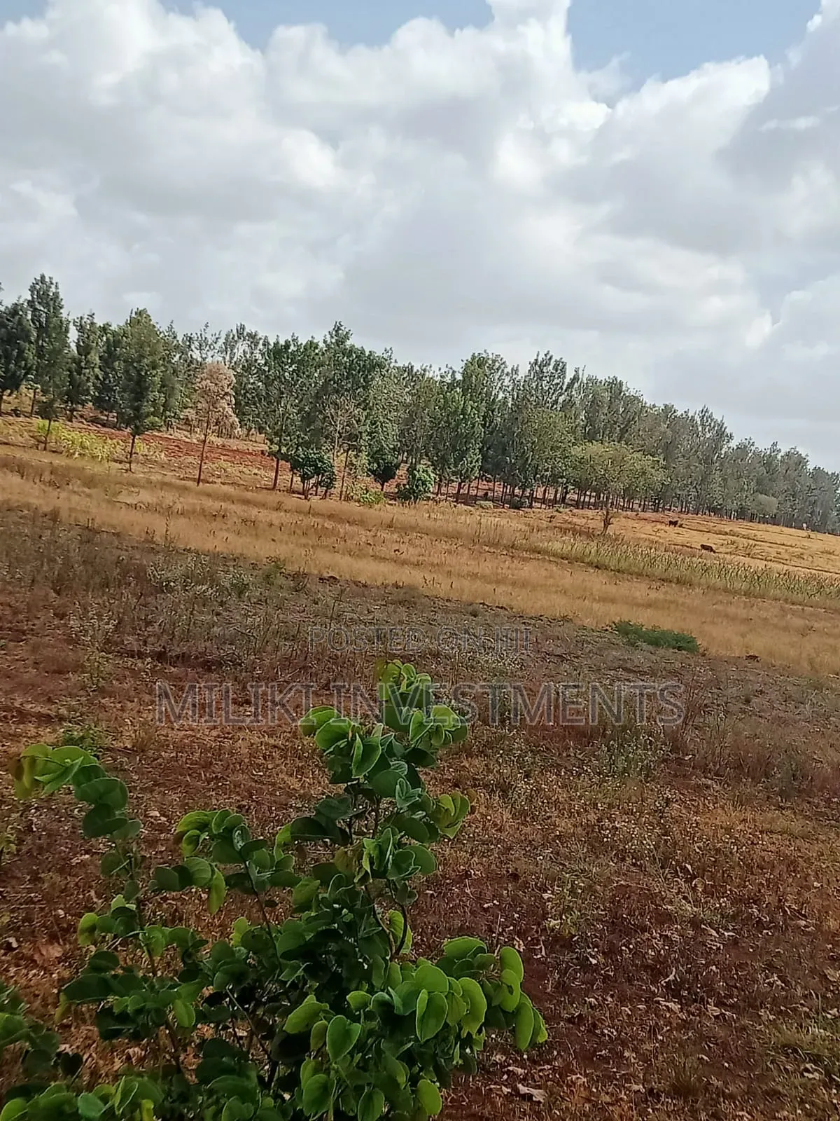 14 Acres of Land on Sale at Kirinyaga in Mutithi
