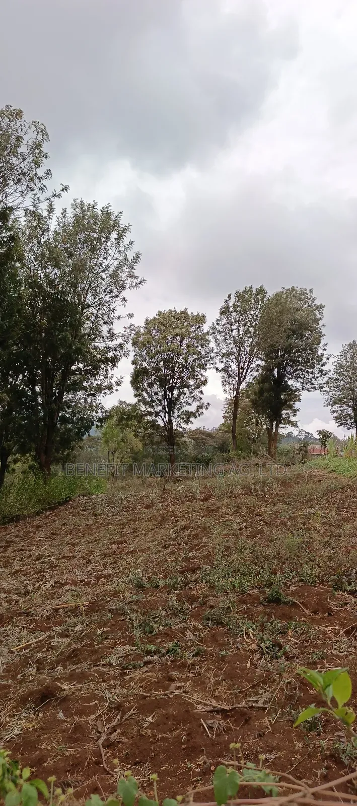Ngong Colonel Ngere Road Plot for Sale. in Ngong