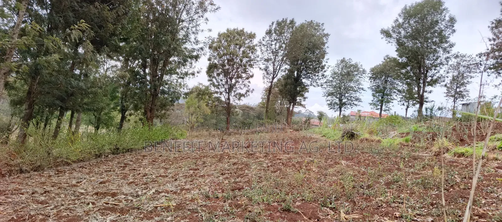 Ngong Colonel Ngere Road Plot for Sale. in Ngong