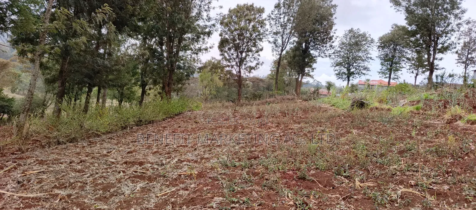 Ngong Colonel Ngere Road Plot for Sale. in Ngong