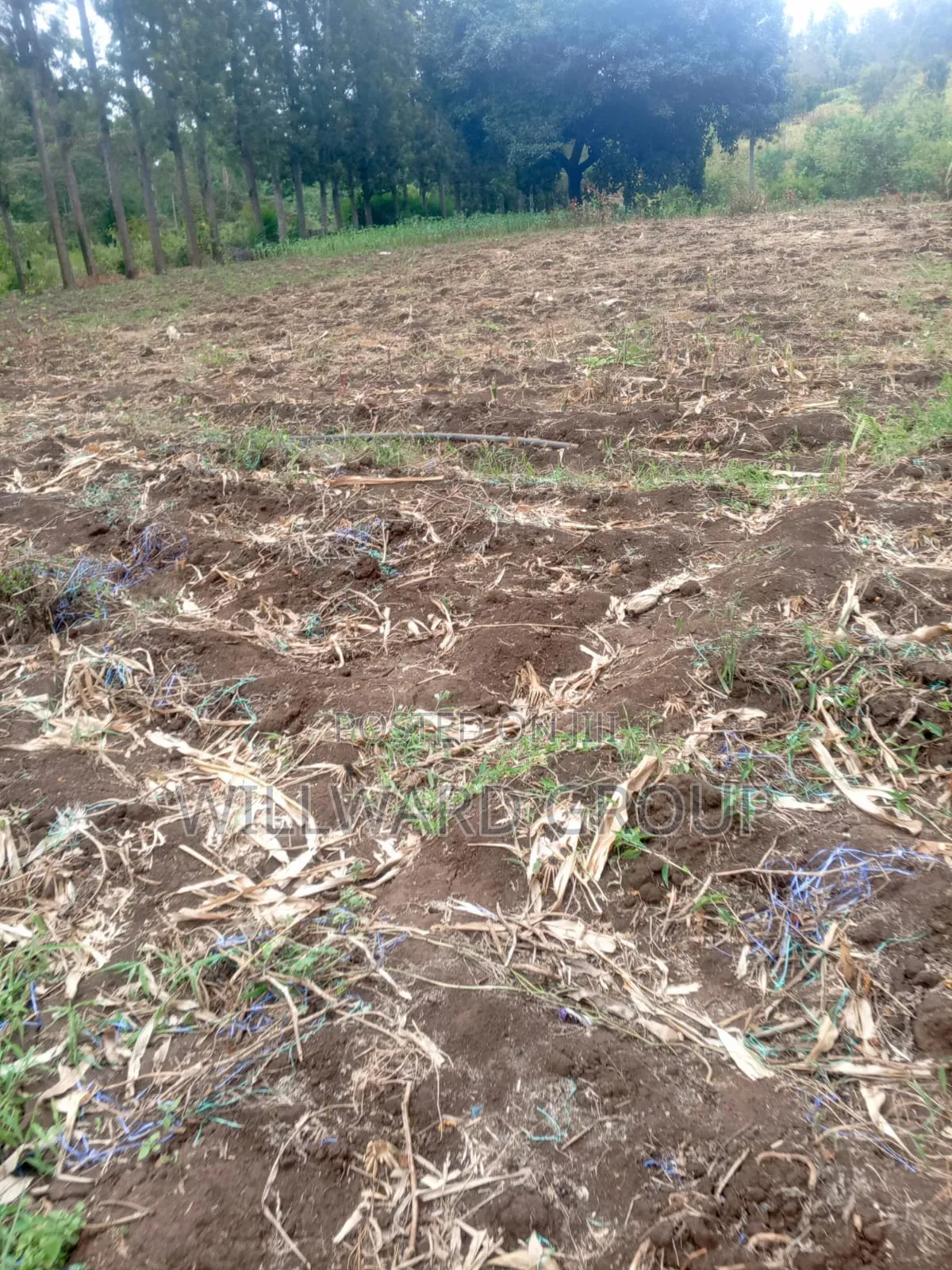 5 Acres Marua Nyeri in Nairobi Central