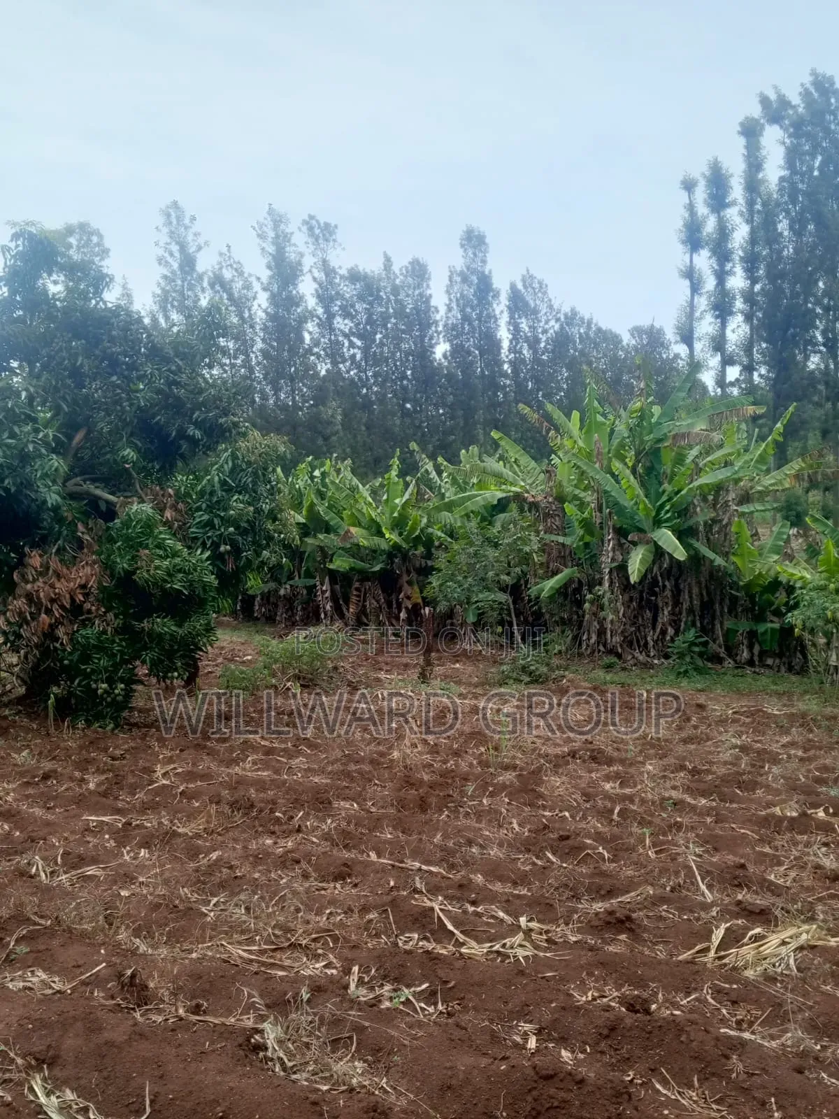 5 Acres Marua Nyeri in Nairobi Central
