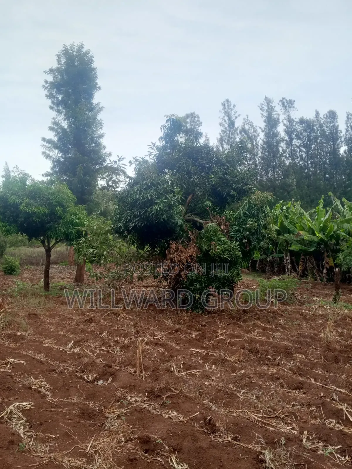 5 Acres Marua Nyeri in Nairobi Central