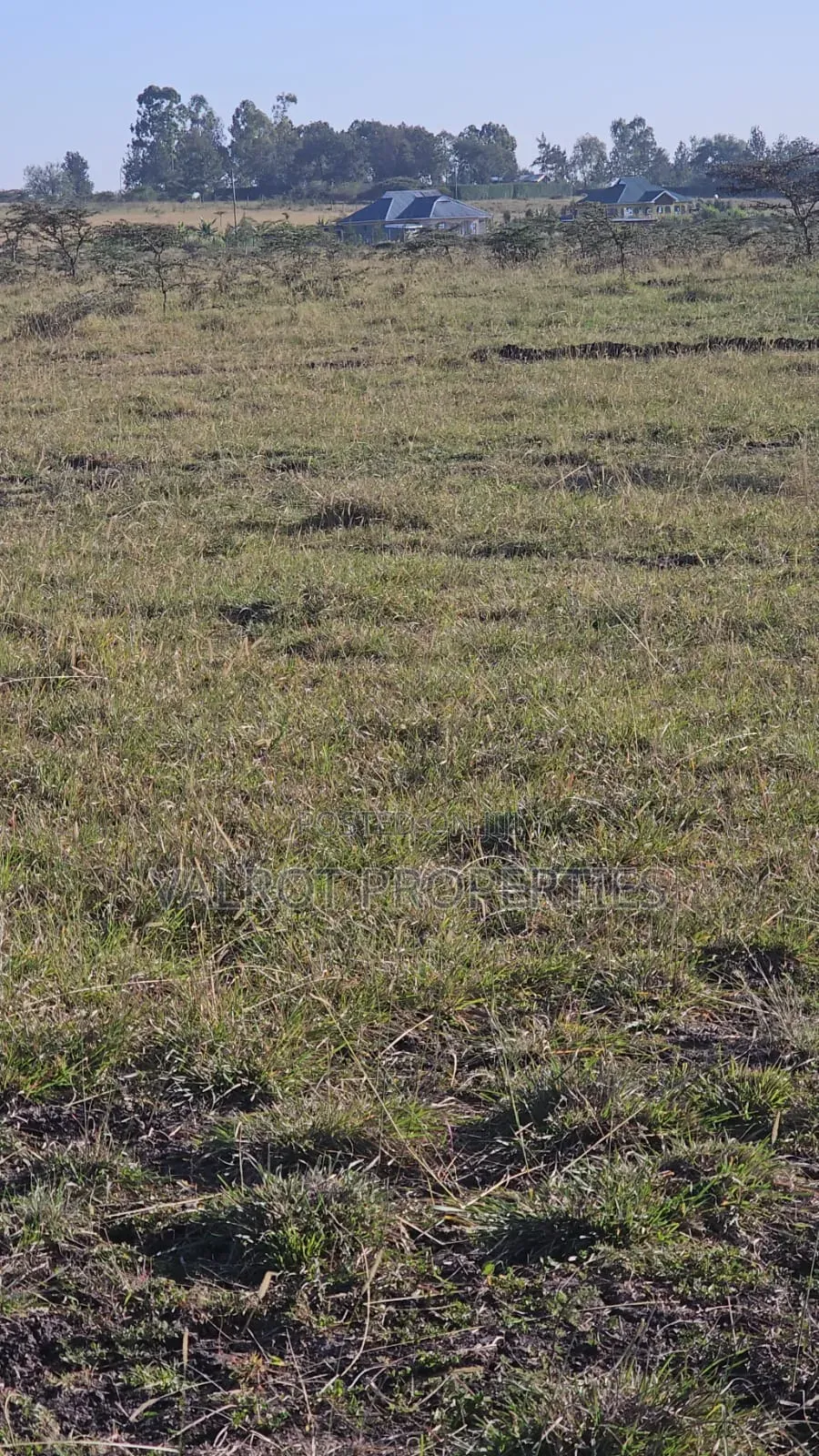 1/8 Acre Plot for Sale in Kiserian in Kiserian