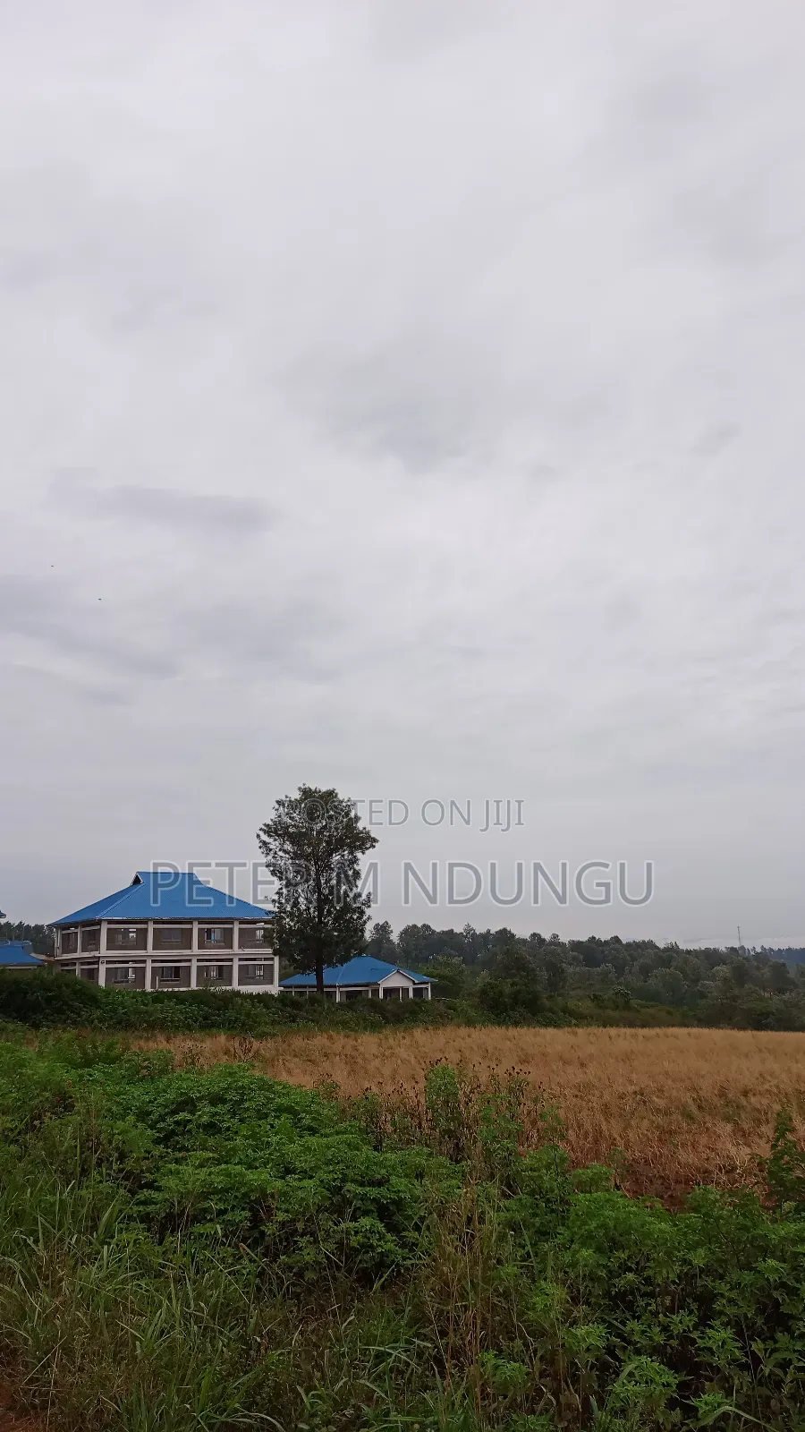 Prime Land on Sale 0.6072 Ha Neighbors Gretsa University, Makuyu in Makuyu