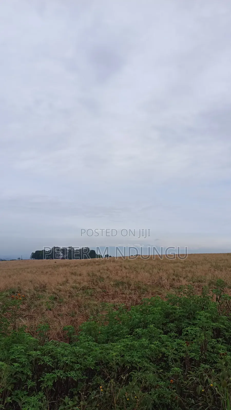 Prime Land on Sale 0.6072 Ha Neighbors Gretsa University, Makuyu in Makuyu