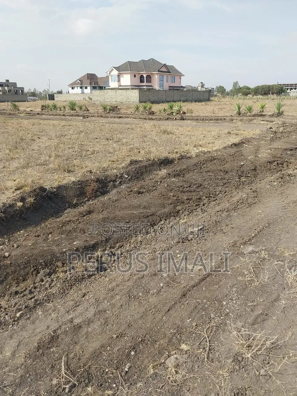 Barakah Cresent, Katani in Katani