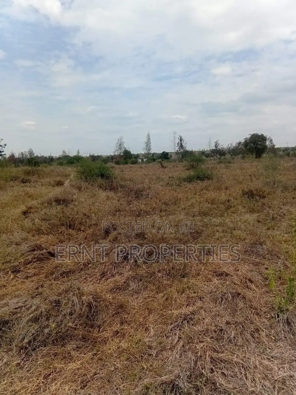 50 By 100 Plots – Kinanie in Junction