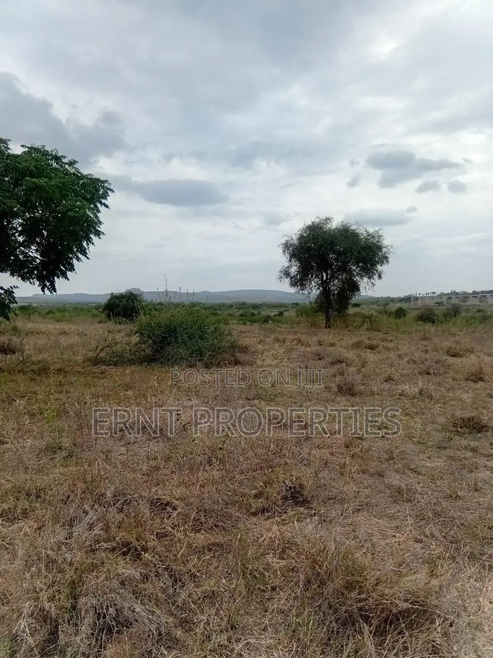 50 By 100 Plots – Kinanie in Junction