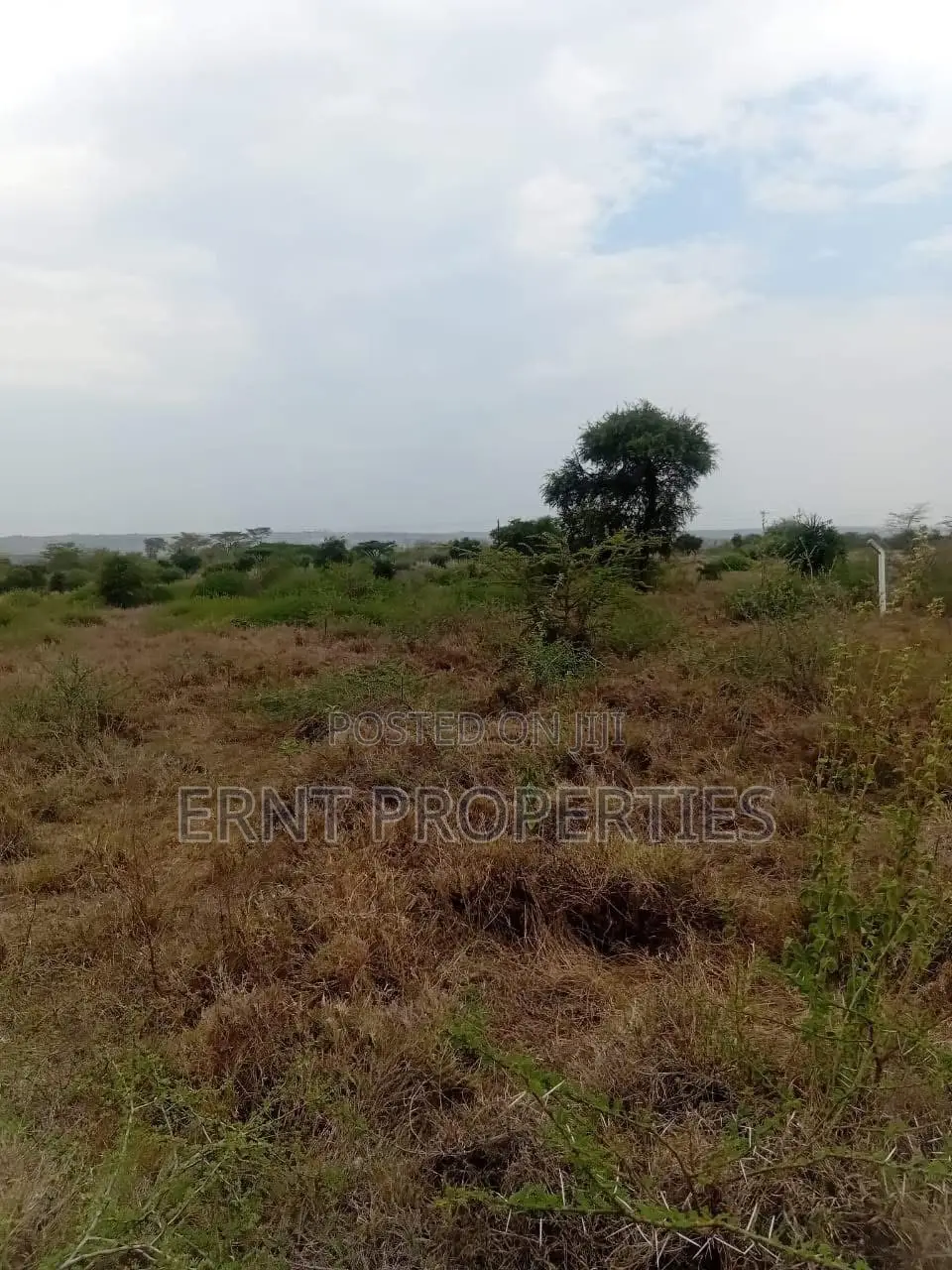 50 By 100 Plots – Kinanie in Junction