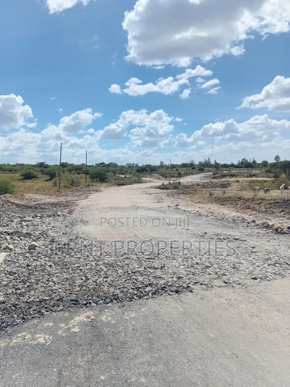 50 By 100 Plots – Kinanie in Junction
