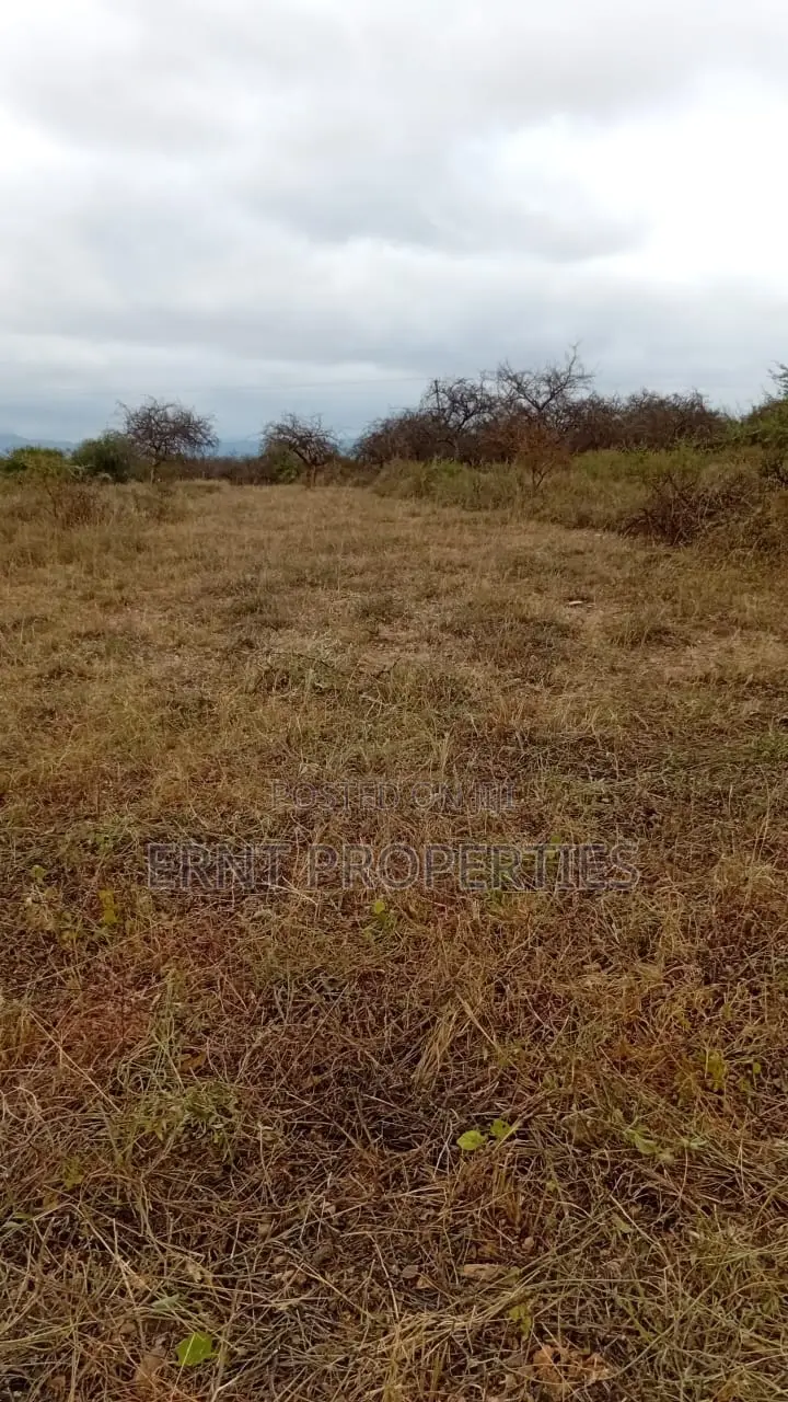 50 by 100 Plot in Milimani Villa in Kitengela