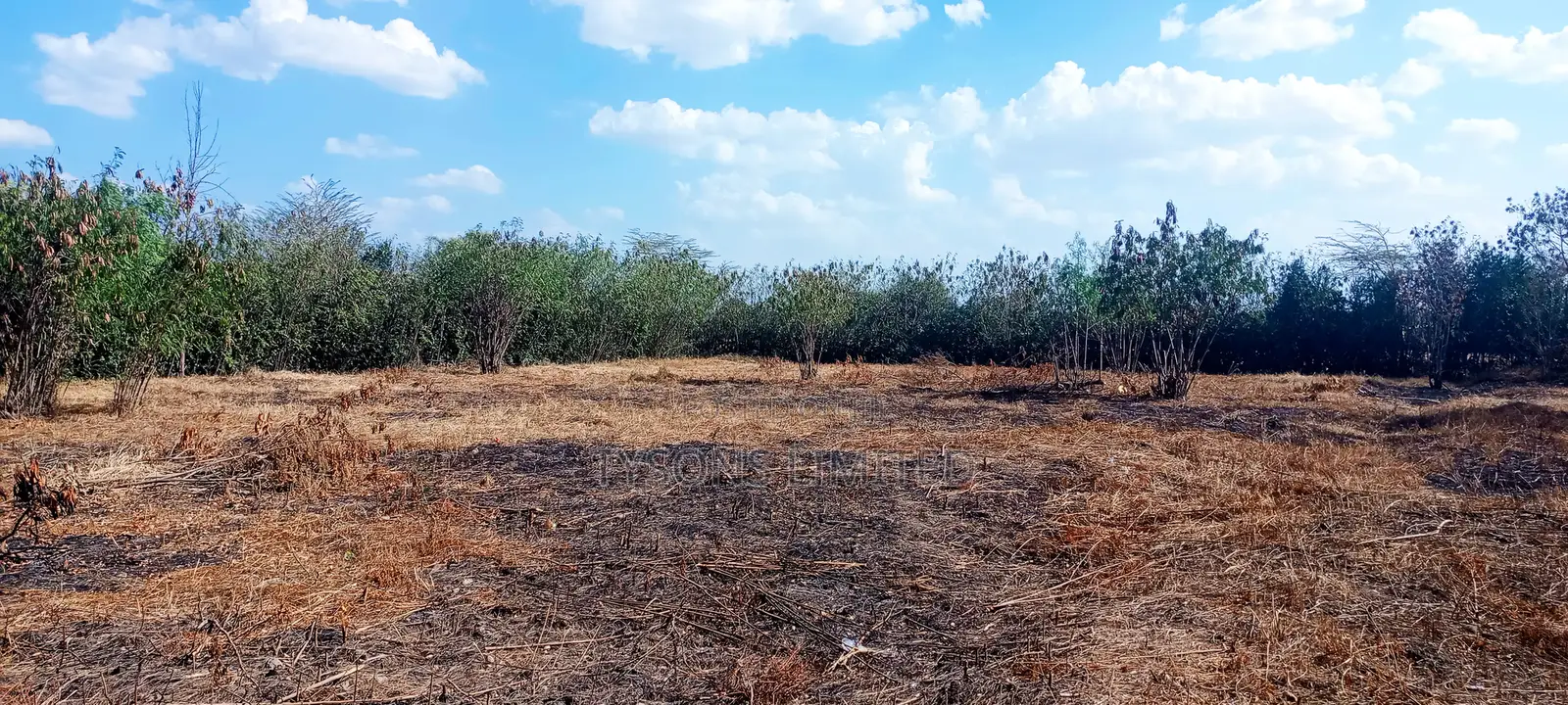 Land for Sale in Kitengela, Kimalat Area in Kitengela