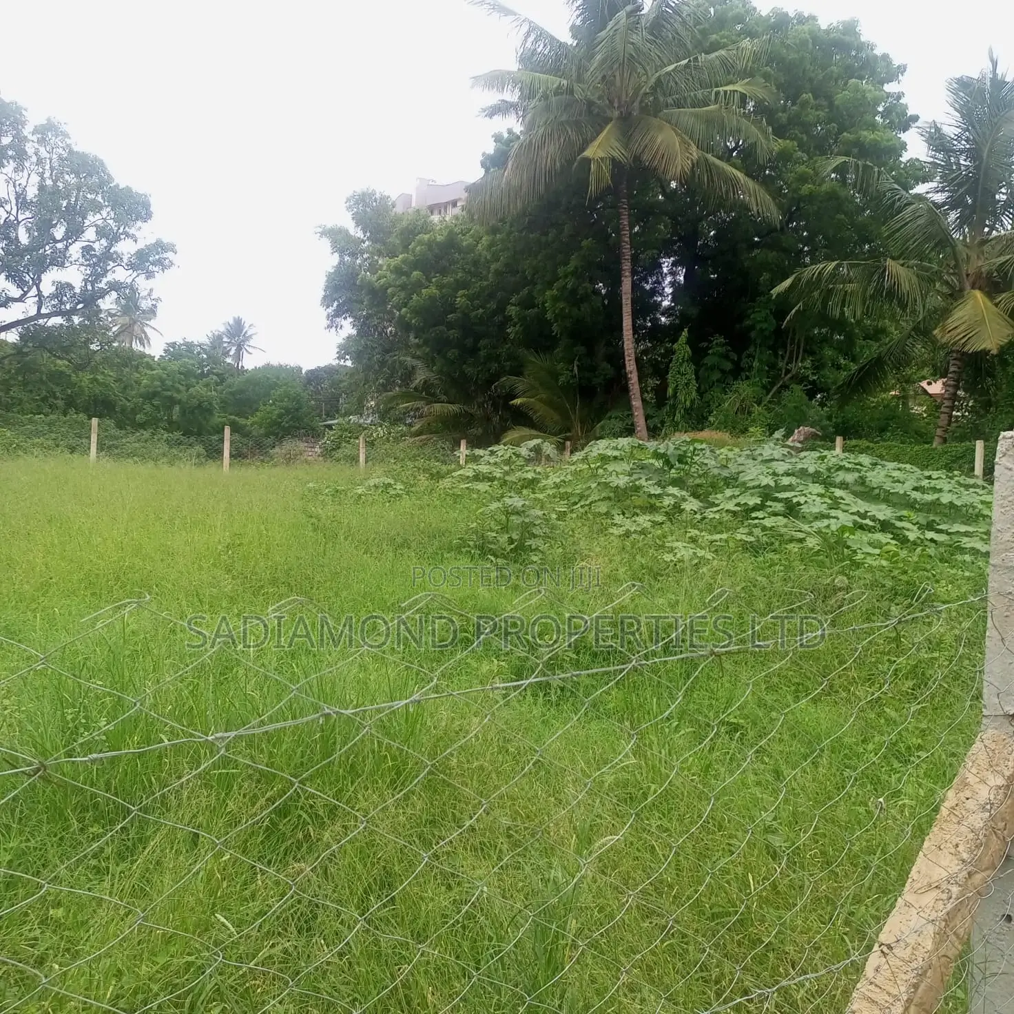 Prime 1/8 Acre Land for Sale in Mtwapa in Mtwapa