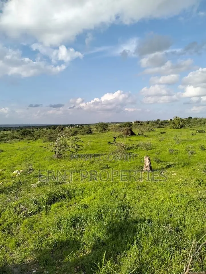 4 1/8 Acre Plots For Sale In Lukenya Near Daystar University in Athi River