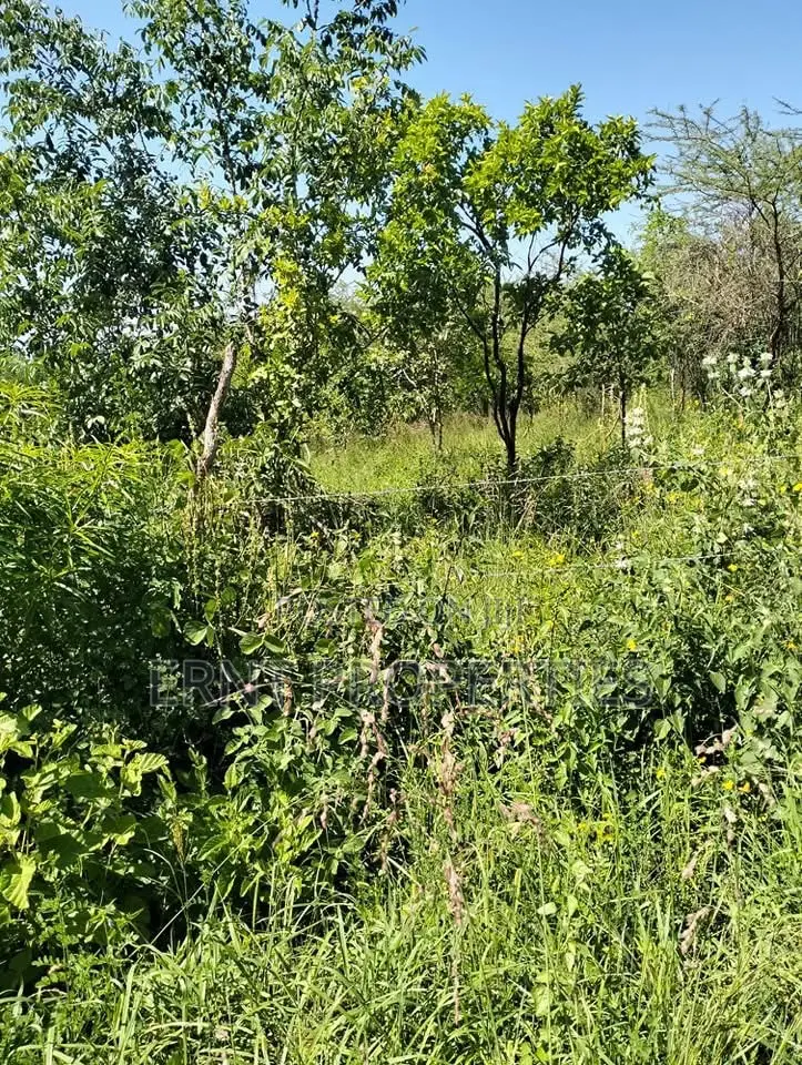 1/4 Acre Residential Plots for Sale Near Embu Town in Embu