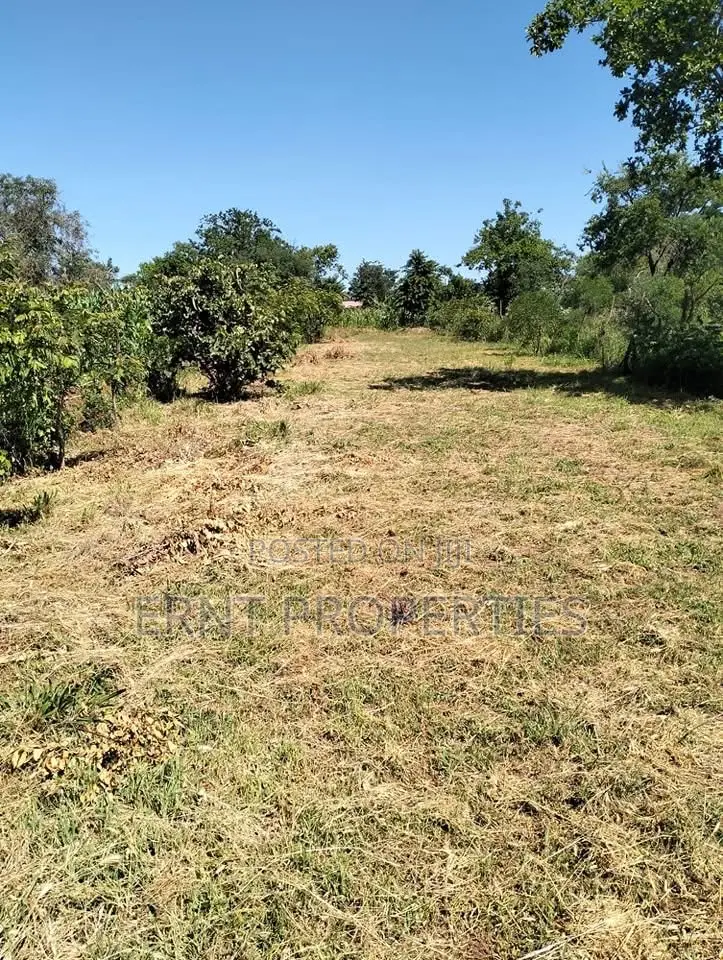 1/4 Acre Residential Plots for Sale Near Embu Town in Embu