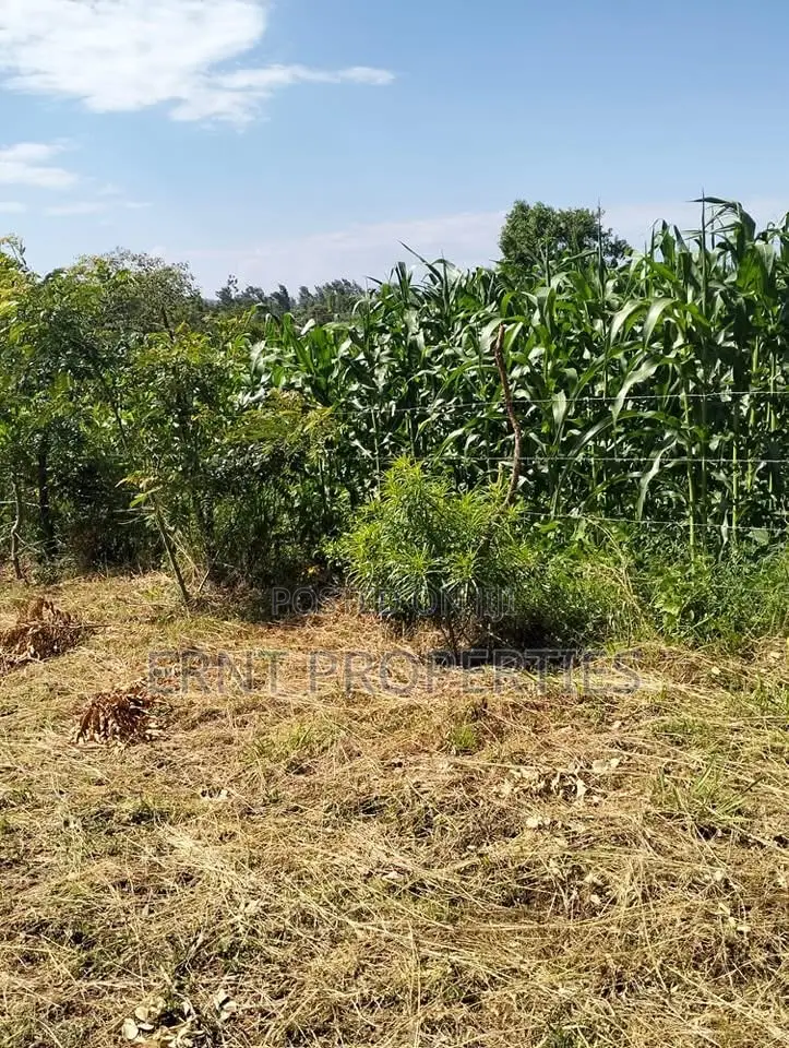 1/4 Acre Residential Plots for Sale Near Embu Town in Embu