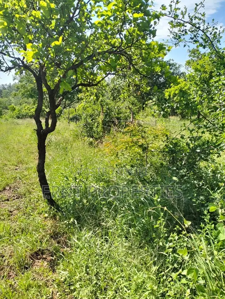 1/4 Acre Residential Plots for Sale Near Embu Town in Embu