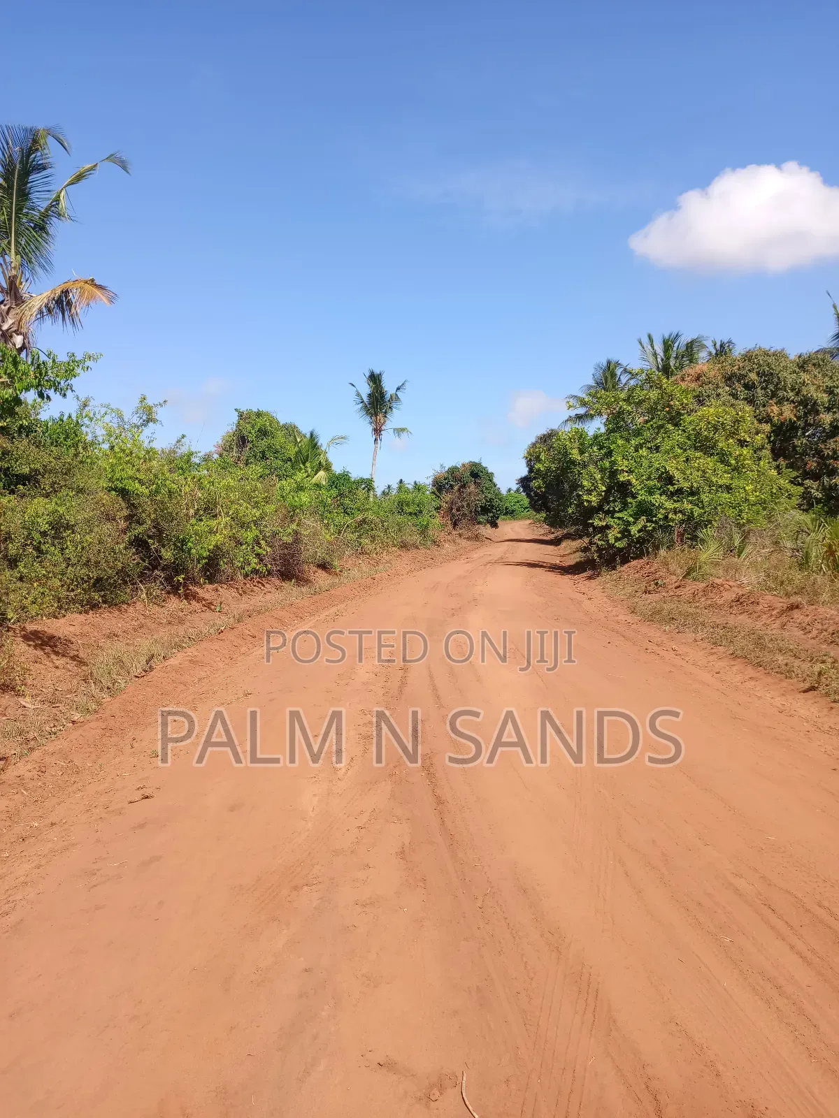 7 Acres in Mabokoni Kwale on Sale in Ukunda