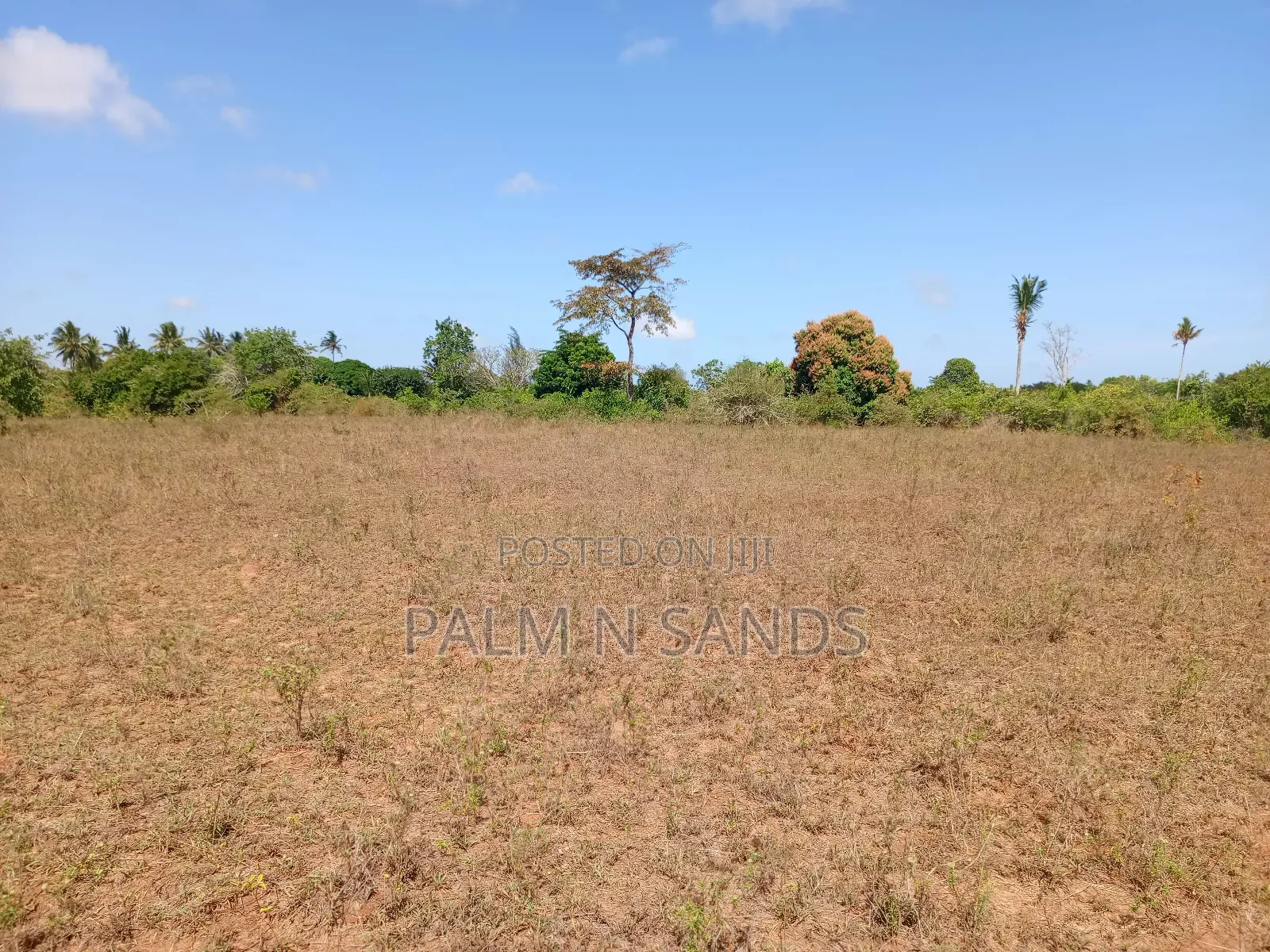 7 Acres in Mabokoni Kwale on Sale in Ukunda