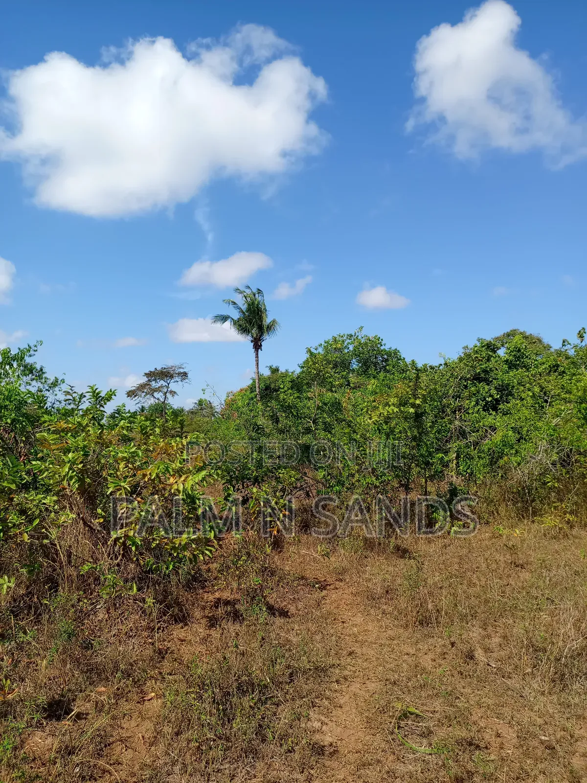 7 Acres in Mabokoni Kwale on Sale in Ukunda