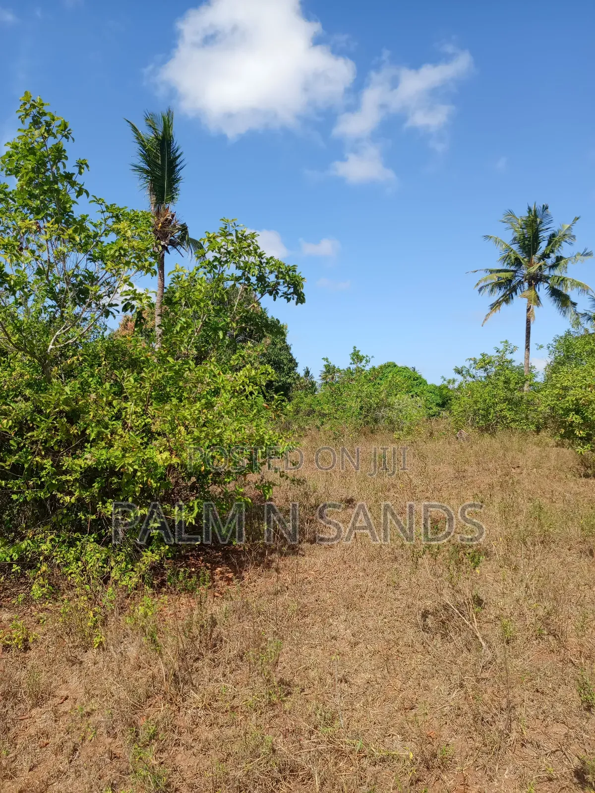 7 Acres in Mabokoni Kwale on Sale in Ukunda