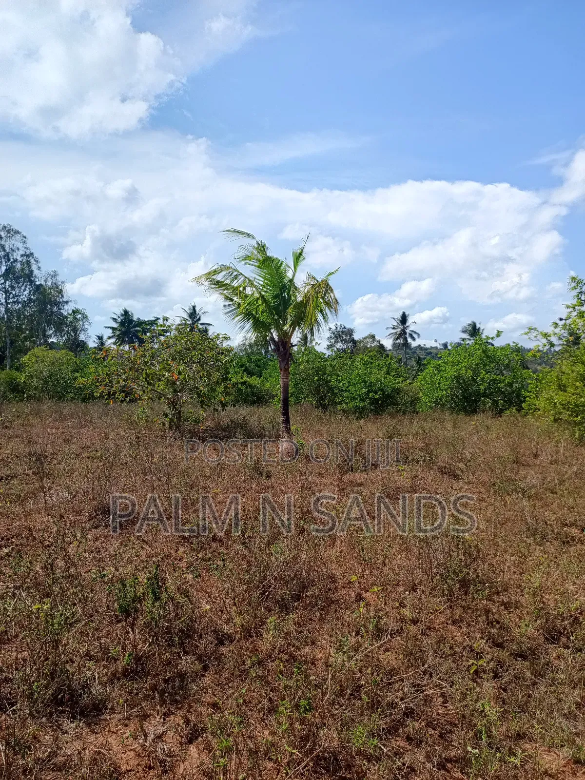 7 Acres in Mabokoni Kwale on Sale in Ukunda