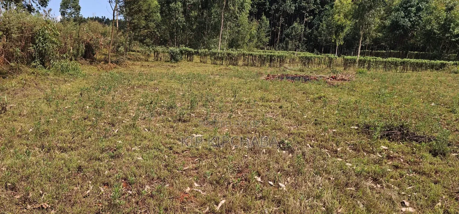 1⁄4 Plots for Sale in St Georges Eldoret Kapseret in Kapseret