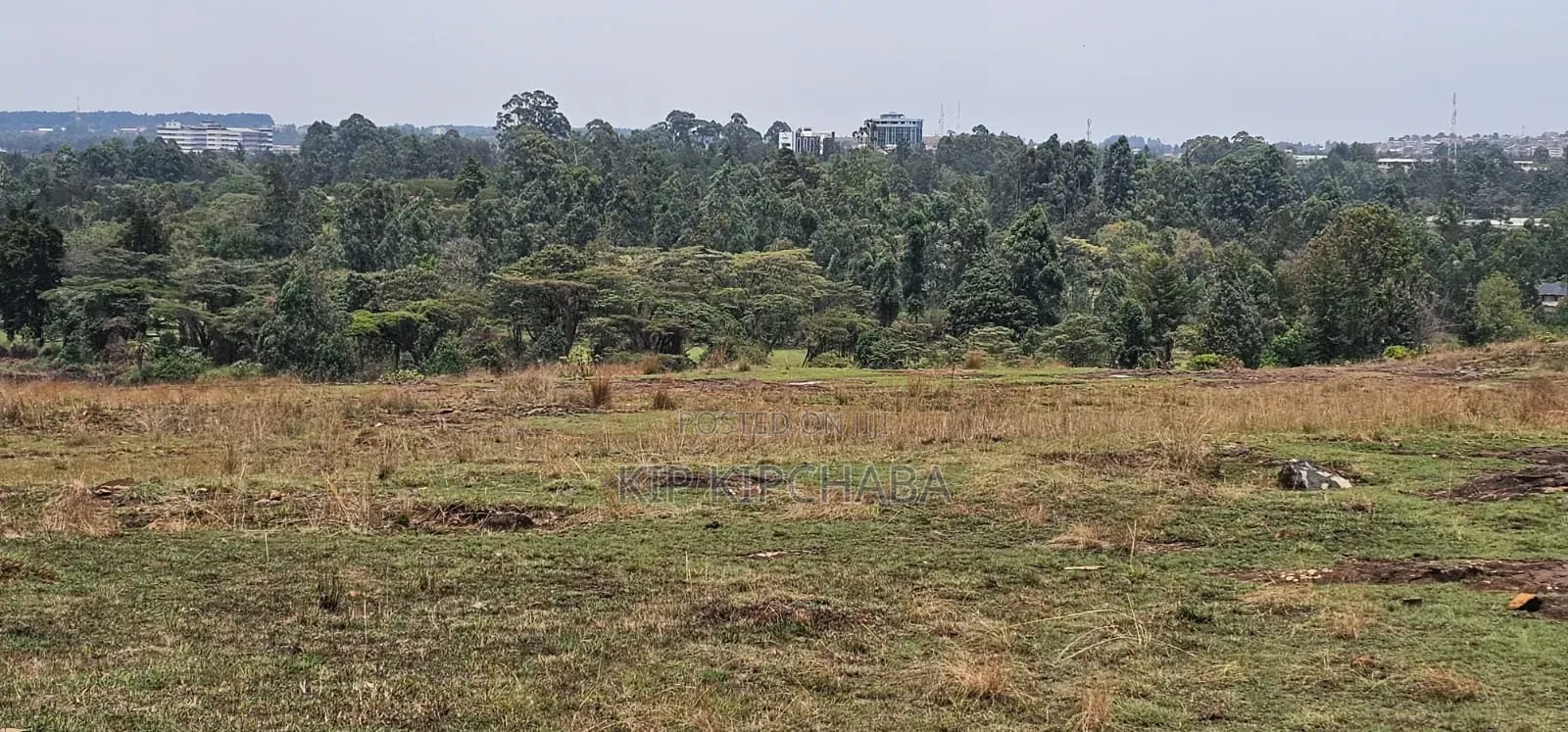 1⁄4 Plots for Sale in Elgonview Eldoret in Elgon View