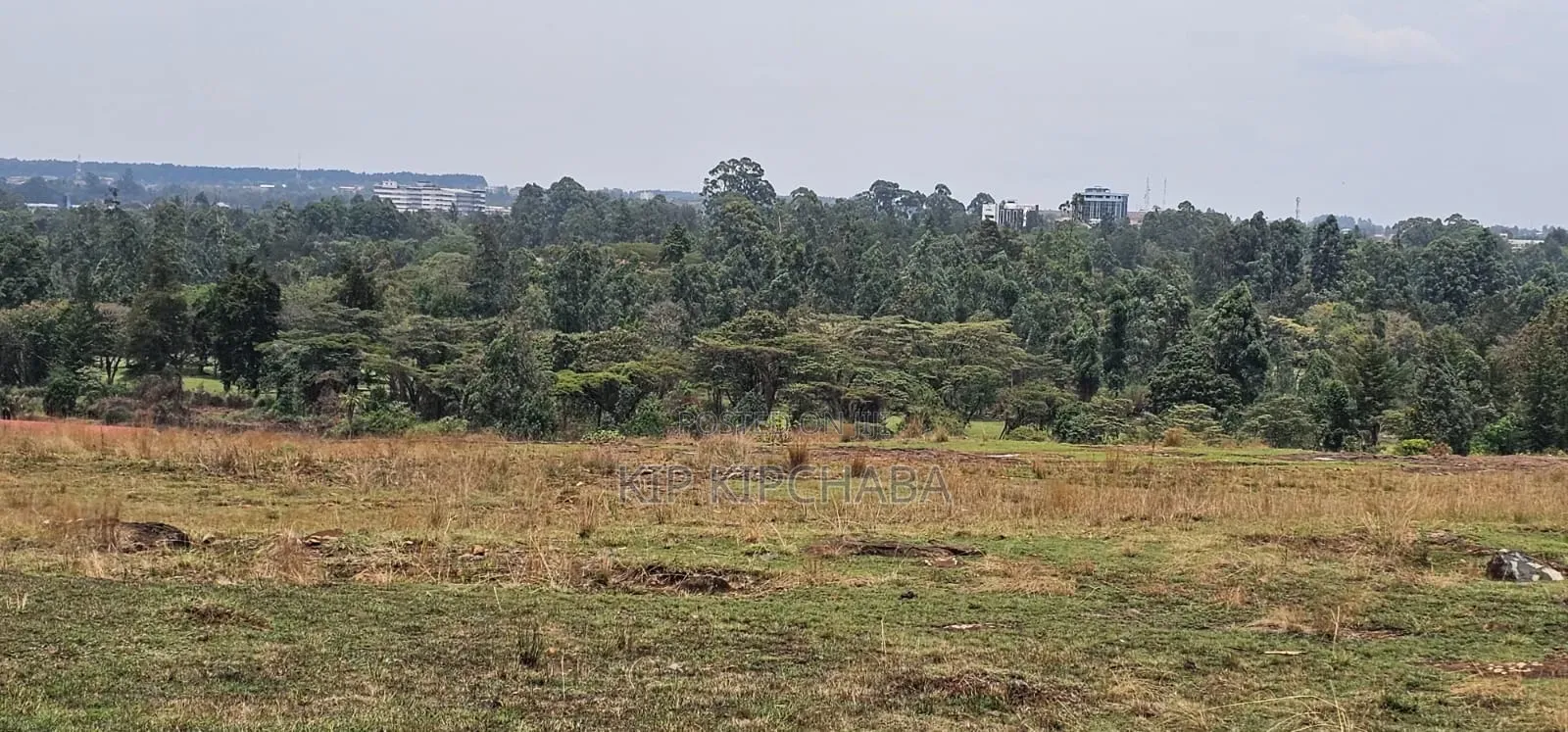 1⁄4 Plots for Sale in Elgonview Eldoret in Elgon View