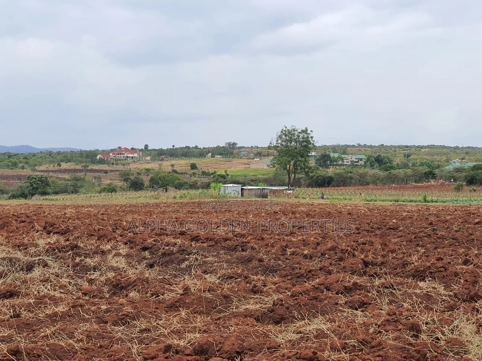2 Acres for in Mukima [ Nanyuki ] in Nanyuki