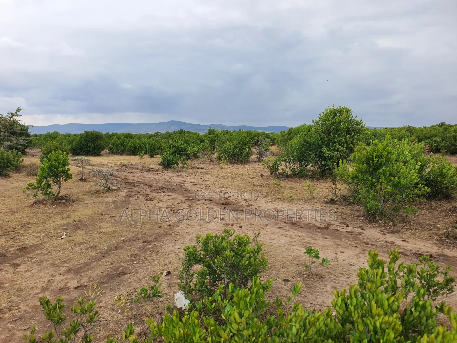 2 Acres for in Mukima [ Nanyuki ] in Nanyuki