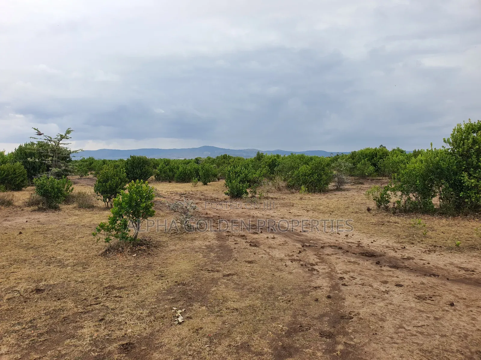 2 Acres for in Mukima [ Nanyuki ] in Nanyuki