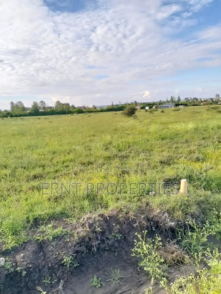 5 Prime1/4 Acre Plots for Sale Near Kag University Area, Kitengela in Kitengela
