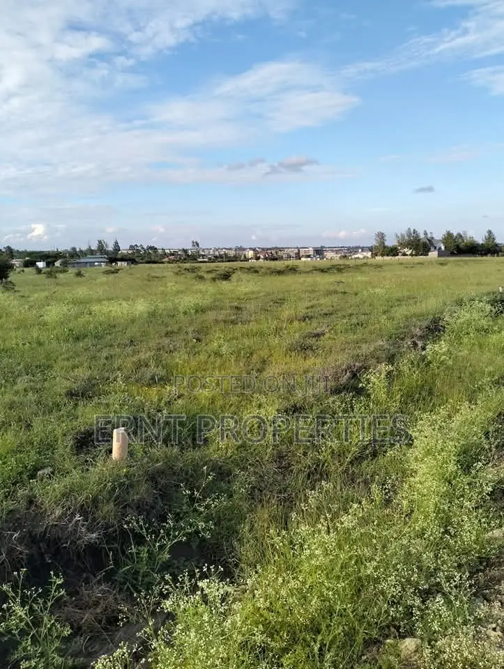 5 Prime1/4 Acre Plots for Sale Near Kag University Area, Kitengela in Kitengela