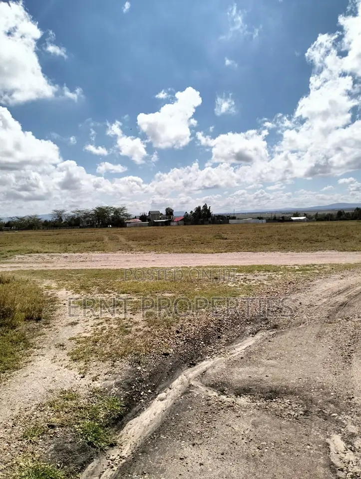 1⁄4 Acre in Kitengela Korompoi Gated Kifaru Court, Ready to Build! in Kitengela