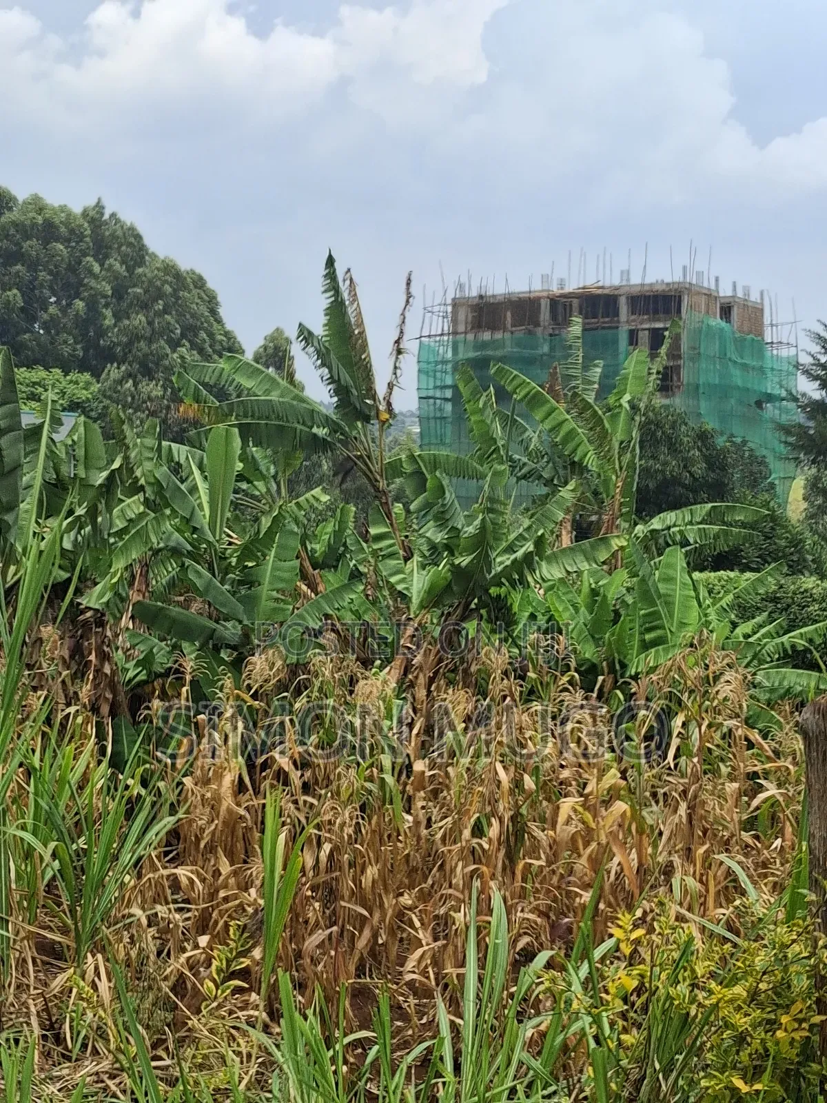 Ruaka Prime Commercial 70x130 With 2 Road Frontage in Ruaka