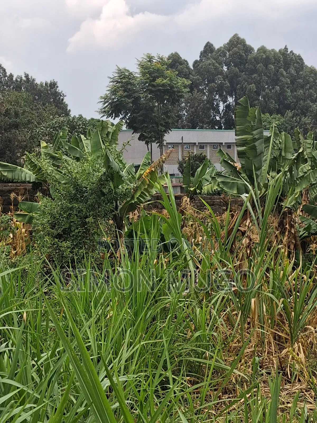 Ruaka Prime Commercial 70x130 With 2 Road Frontage in Ruaka