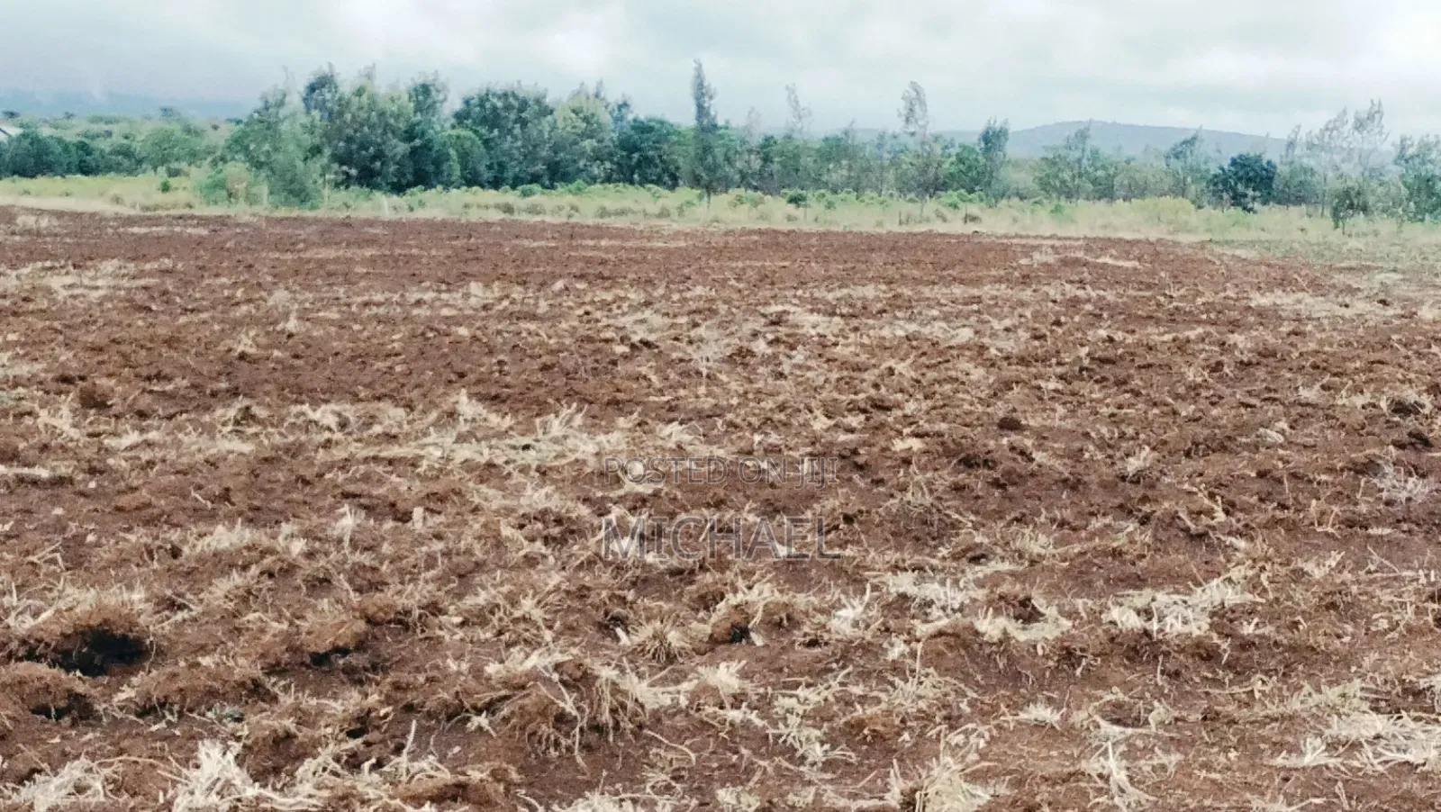 8 Acres Prime Land for Sale – Loitoktok | Freehold Title in Loitoktok