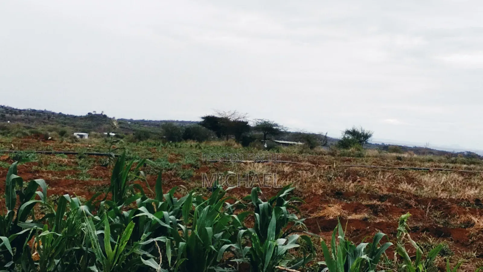 3 Acres Prime Farmland – Loitoktok | 4km From Tarmac | Freehold T in Loitoktok