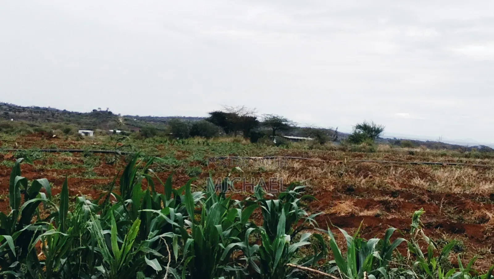3 Acres Prime Farmland – Loitoktok | 4km From Tarmac | Freehold T in Loitoktok